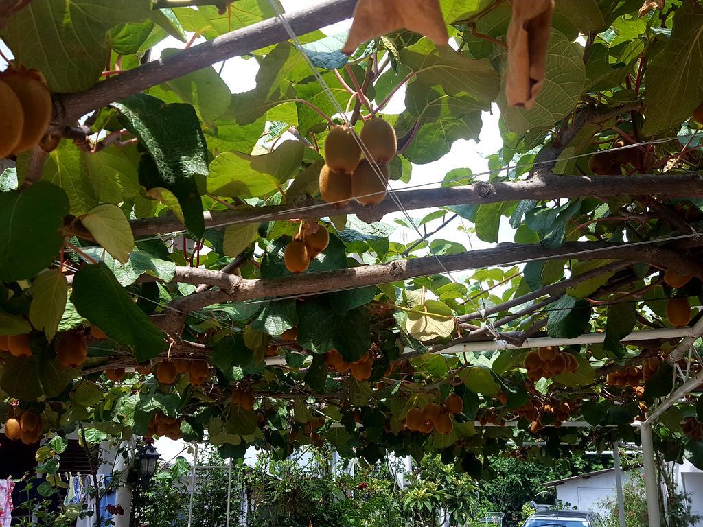 Apartmani Bonik 布德瓦 外观 照片